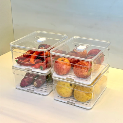 Kit 4 Organizers Clear Fresh 2,2 Liters