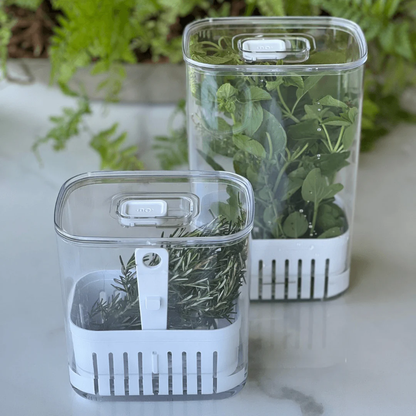 Spice organizer set Clear Fresh 2 Pieces
