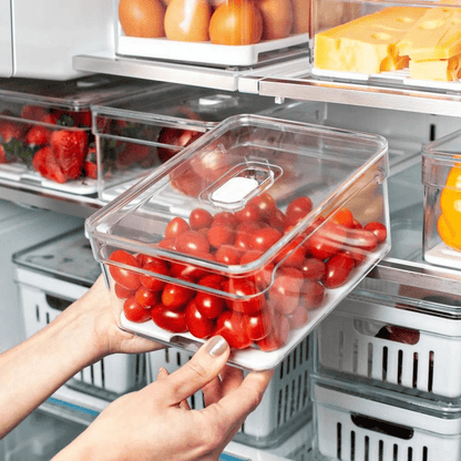 Kit 4 Organizers Clear Fresh 2,2 Liters