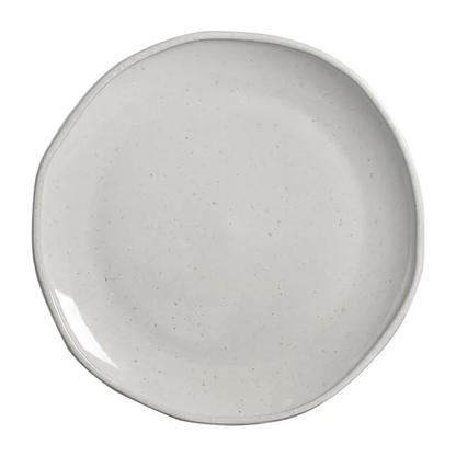 Dinner plate of Ceramic Daily Show 25cm